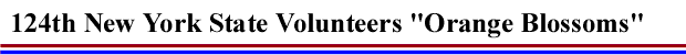 124th NT State Volunteers LOGO