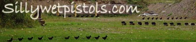 http://www.sillywetpistols.com 