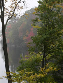 View of Sterling Lake