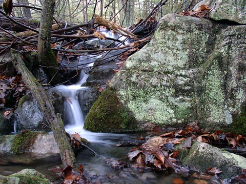 A brook in Sterling Forest