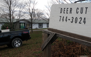DEER CUT